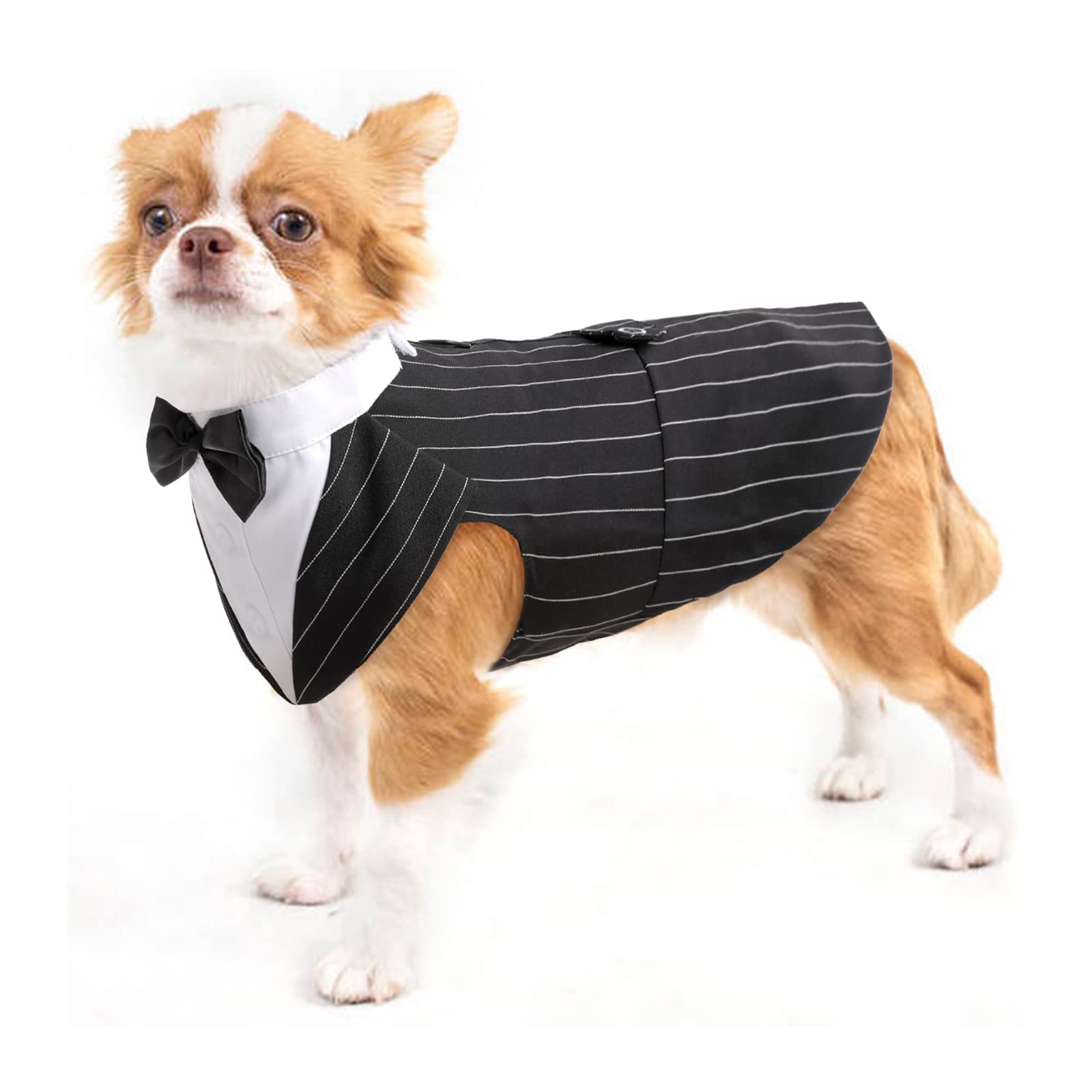 Abbigliamento elegante per cani: il vestito perfetto per partecipare a un matrimonio