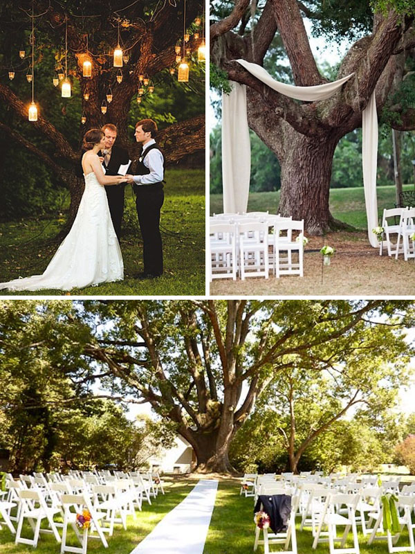 Guida completa per un matrimonio sotto il salice: come organizzare un matrimonio da sogno con il tema albero di salice