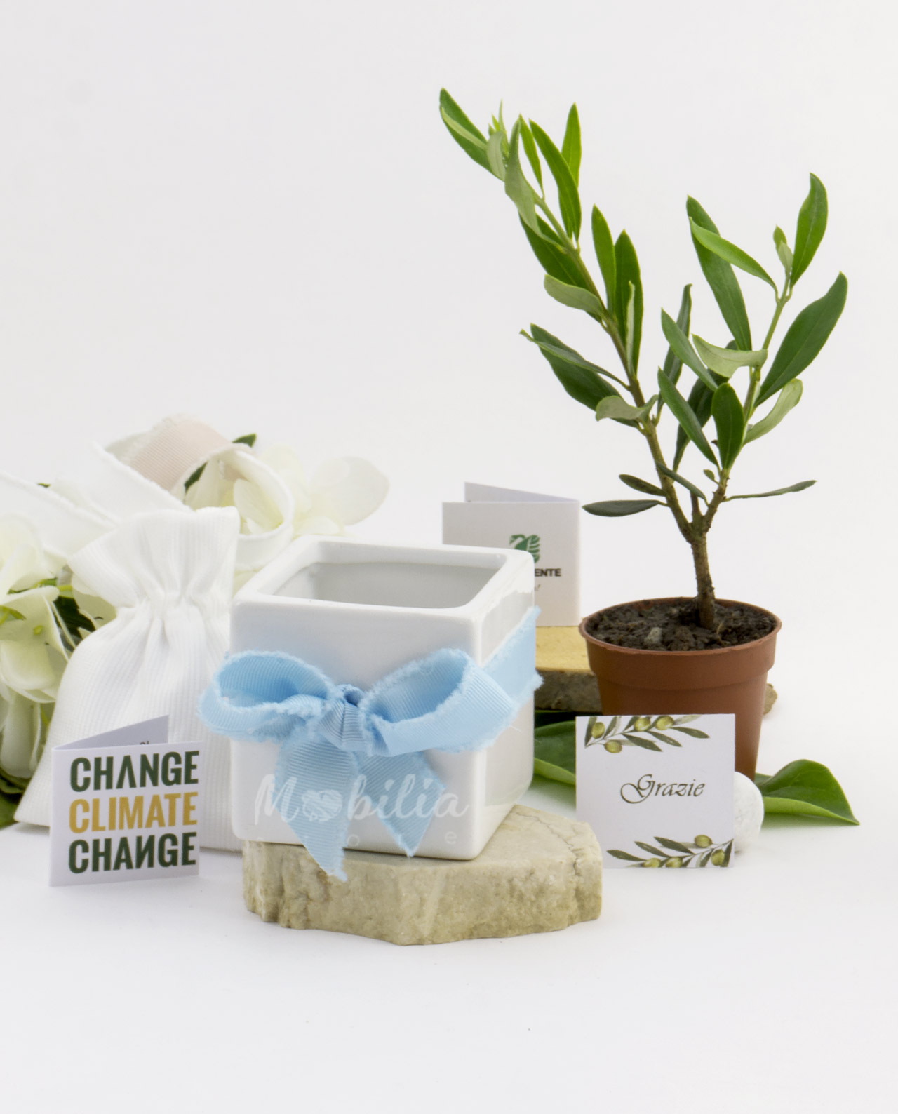 Le bomboniere solidali del matrimonio: un gesto speciale con i bonsai