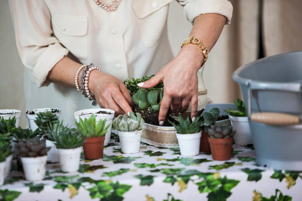 Centrotavola di succulente fai da te - Matrimonio a Bologna Blog